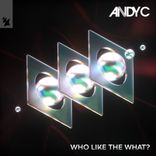 Artwork for "Who Like The What?"