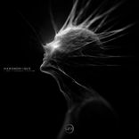 Artwork for "I Don't Remember Sleeping"