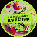 Artwork for "Can’t Give It Up (Elisa Elisa Remix)"