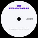 Artwork for "VOL#013"
