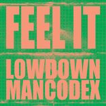 Artwork for "Feel It"