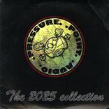 Artwork for "The 2025 Collection"