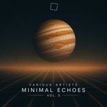 Artwork for "Minimal Echoes, Vol. 5"