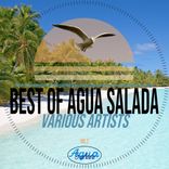 Artwork for "Best of Agua Salada Records Vol. 2"