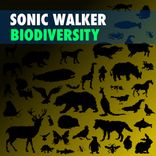Artwork for "Biodiversity"