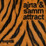 Artwork for "Attract"