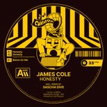 Artwork for "Honesty"