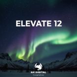 Artwork for "Elevate 12"