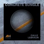 Artwork for "Concrete Bungle"